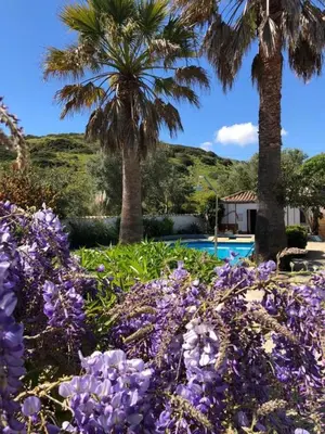 a garden with purple flowers and palm trees and a swimming pool at Casa Monki in Raposeira