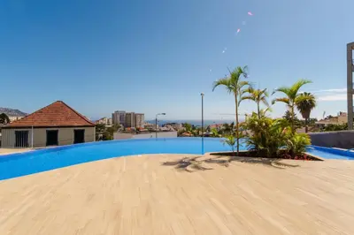 a view of a swimming pool with palm trees at A peaceful retreat near the city centre in Funchal