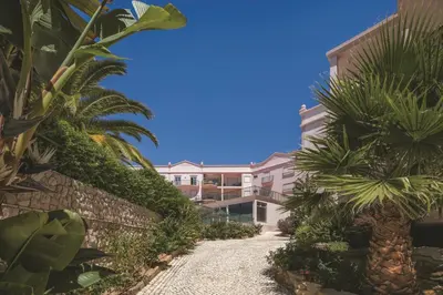 a pathway in front of a building with palm trees at Apt. Palmeira in Luz