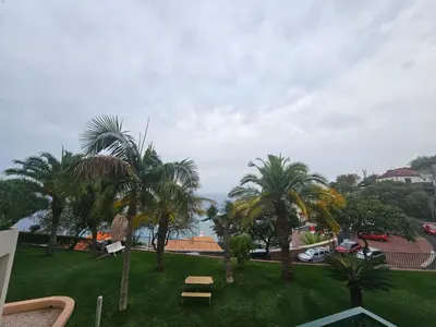 a view of a park with palm trees at Vista Praia Apartment in Funchal