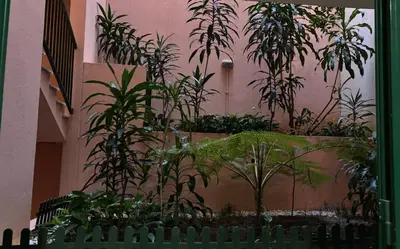a bunch of potted plants in a building at Vista Praia Apartment in Funchal