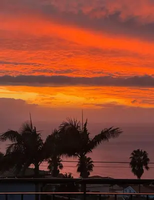 a sunset with palm trees in front of the ocean at Zen House By The Madeira Luxury Collection in Arco da Calheta