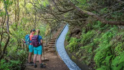 two women standing on a trail in the forest at Celina Residence in Ribeira Brava