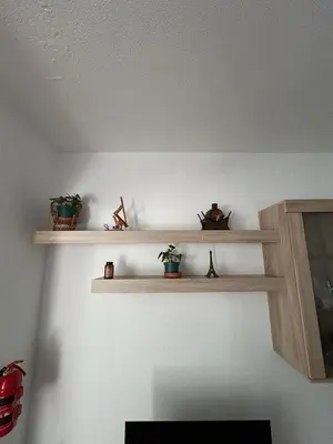 a room with wooden shelves on the wall with plants at Celina Residence in Ribeira Brava