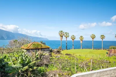 a view of the ocean and palm trees at SUPER Sunset in Ponta Delgada
