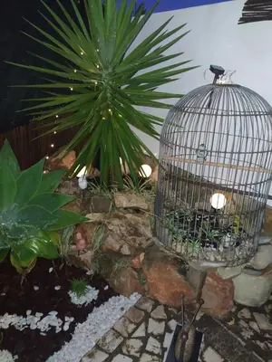 a bird cage in a garden with a plant at Costamar in Lagos