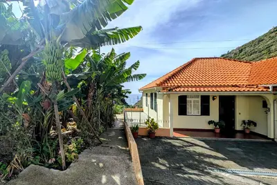 a house with a palm tree in front of it at Banana Lovers - Farm View in Ribeira Brava
