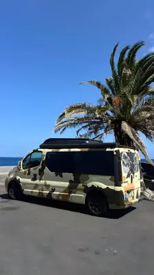 a camo bus parked next to a palm tree at Geko camper in Funchal
