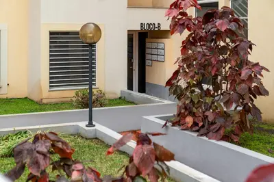 a building with a tree in front of a building at Santiago House by An Island Apart in Funchal