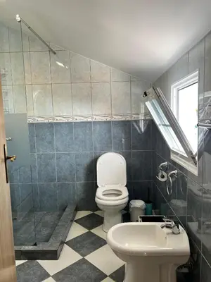 a bathroom with a toilet and a sink and a shower at Maria apartment in Ponta do Sol