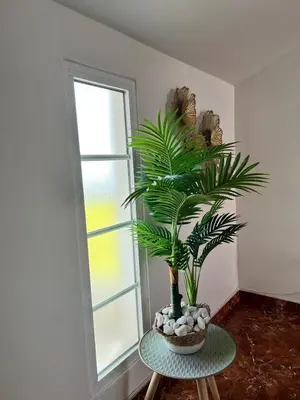 a plant sitting on a table next to a window at Maria apartment in Ponta do Sol