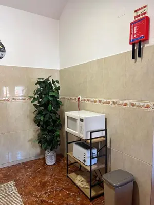 a microwave on a shelf in a room with a plant at Maria apartment in Ponta do Sol