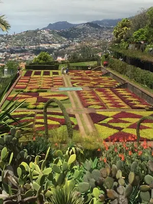 a view of a garden with cacti at Holiday Apartments Funchal - Bouganvilla in Funchal
