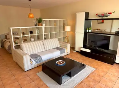 a living room with a couch and a television at VillaMadeira - Apartments in Funchal in Funchal