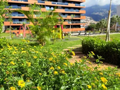 a field of yellow flowers in front of a building at Virtudes Charm in Funchal