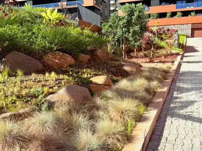 a garden with rocks and plants on a sidewalk at Virtudes Charm in Funchal