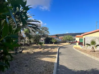 a street with palm trees and a building at Villa Antonius in Porto Santo