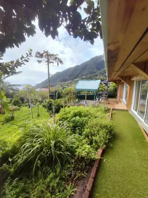 a view from the porch of a house with a garden at Jungle Lodge in Machico