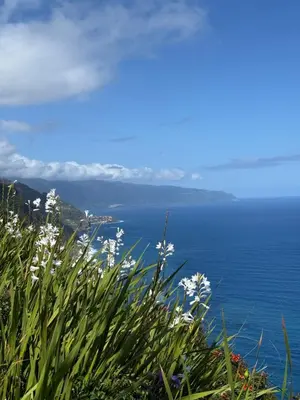 a view of the ocean from a hill with flowers at Casa do Farol Guest House in São Jorge