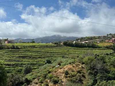 a green field with mountains in the background at Casa do Farol Guest House in São Jorge
