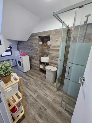 a bathroom with a shower and a sink and a toilet at Bela Vista House in Funchal