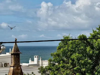 a bird flying in the sky over the ocean at O Mar a dois minutos in Luz