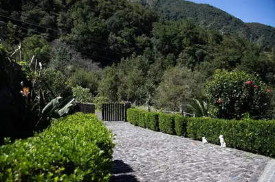 two cats are sitting on a stone walk way at Portas da Levada B by Rent-a-key in São Vicente