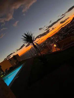 a sunset with a palm tree and a swimming pool at Villa Amazing View Funchal - Lux & Pool in Funchal