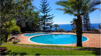 a swimming pool with a palm tree and the ocean at Urso Tigre Apartment by Holiday Rental Madeira in Funchal