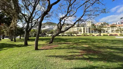 a park with trees and buildings in the background at Urso Tigre Apartment by Holiday Rental Madeira in Funchal