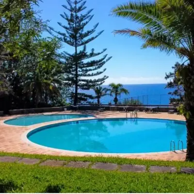 Urso Tigre Apartment by Holiday Rental Madeira