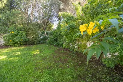 a tree with yellow flowers in a yard at Casa dos Sonhos Praia da Luz in Luz