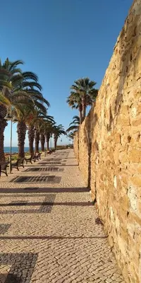 a sidewalk with palm trees next to a stone wall at Magnifique appartement face à l'océan, Casa Waterside in Luz