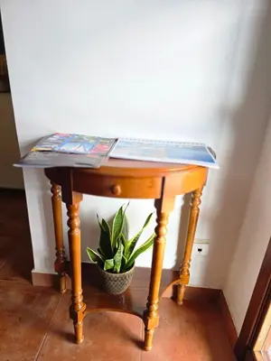 a small wooden table with a potted plant on it at Paz House in Caniço