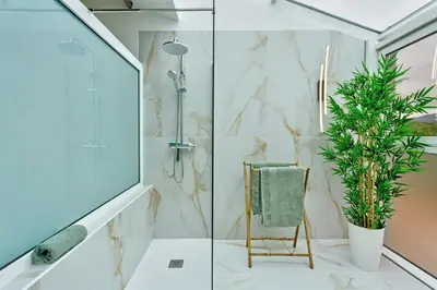 a bathroom with a shower and a plant at Casa Belavista in Gaula