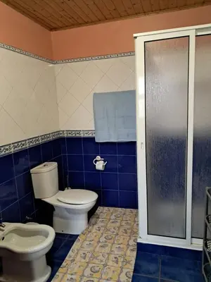 a blue tiled bathroom with a toilet and a shower at O Chalé das Borboletas in Santa Maria Madalena