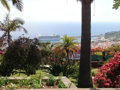 a cruise ship in the water with flowers at Quinta do Bom Sucesso in Funchal