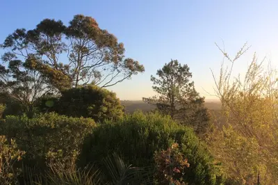 a group of trees and bushes on a hill at Casa Salácia in Aljezur