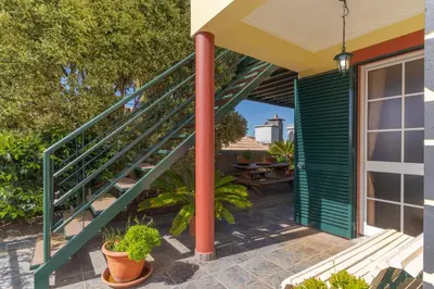 a patio with a green staircase and plants at Calheta- Family home in Estreito da Calheta
