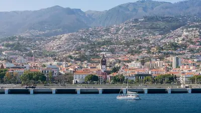 a boat in the water in front of a city at Green Living-Funchal in Funchal