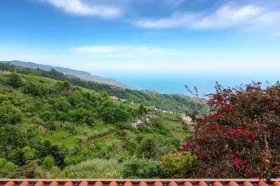 a view of a hill with flowers and trees at Miradouro House By Sam Houses in Ponta do Sol