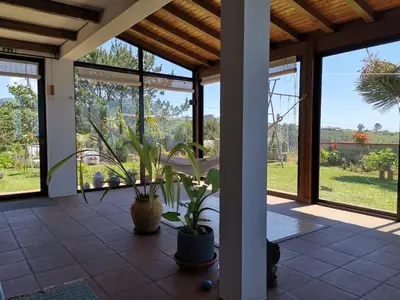 a garden with chairs and a palm tree and a house at Oasis in Madeira by YMR in Raposeira do Logarinho