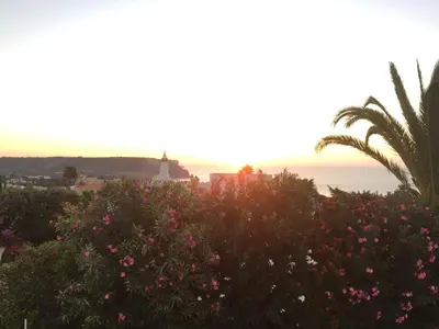 a view of the ocean and a palm tree and flowers at Villa Sorriso in Luz