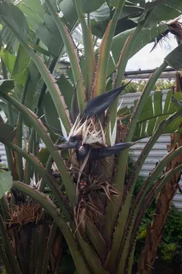 a bird sitting on top of a plant at Monumental Garden Loft by Rent-a-Key in Funchal