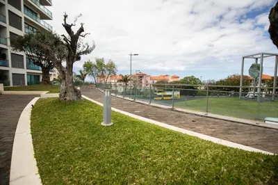 a tree in the grass next to a tennis court at Monumental Garden Loft by Rent-a-Key in Funchal