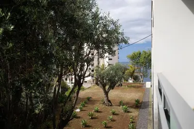 a view of a garden with trees and a building at Monumental Garden Loft by Rent-a-Key in Funchal