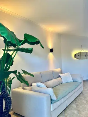a living room with a couch and a plant at Salty & Swell Apartment in Sagres