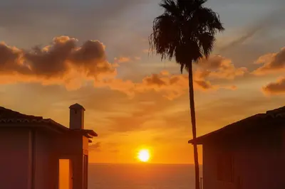 a palm tree and a sunset over the ocean at Varandas do Sol - Private Sun Terrace close to Natural Pools & Praia Formosa in Funchal