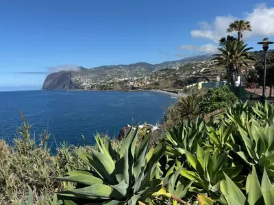 a view of the ocean from a hill with plants at Varandas do Sol - Private Sun Terrace close to Natural Pools & Praia Formosa in Funchal