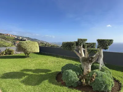 a garden with a tree and bushes in the grass at Anita & Leonel's House A in Gaula
